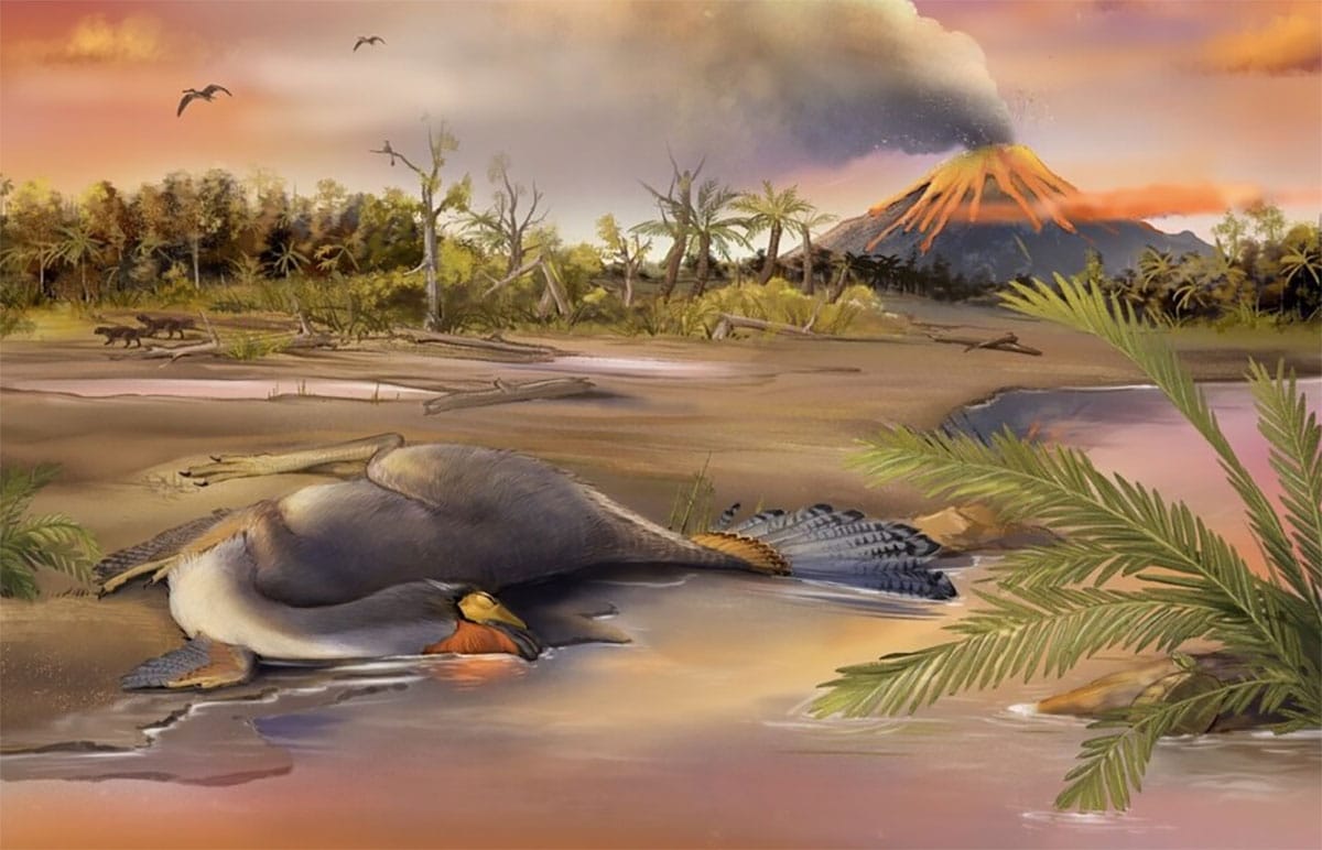 www.grenzwissenschaft-aktuell.de