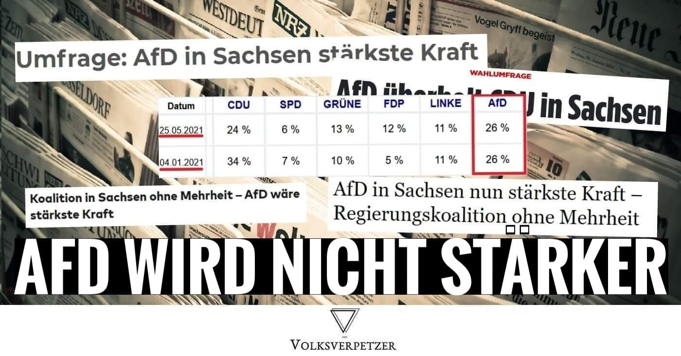 www.volksverpetzer.de